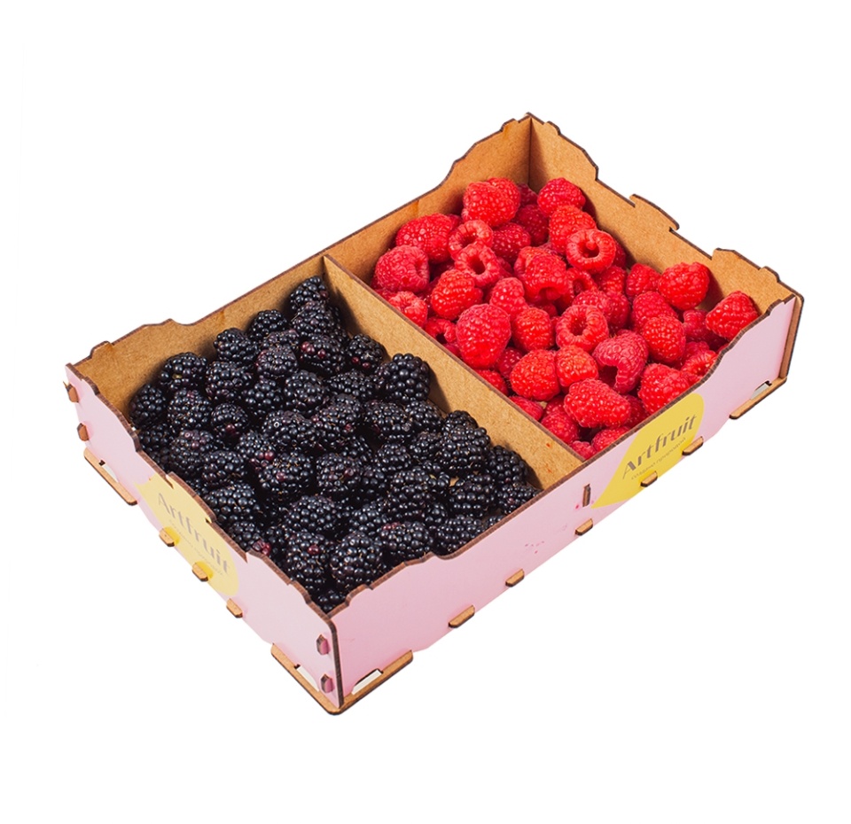 

Микс ягодный Artfruit малина-ежевика 1 кг