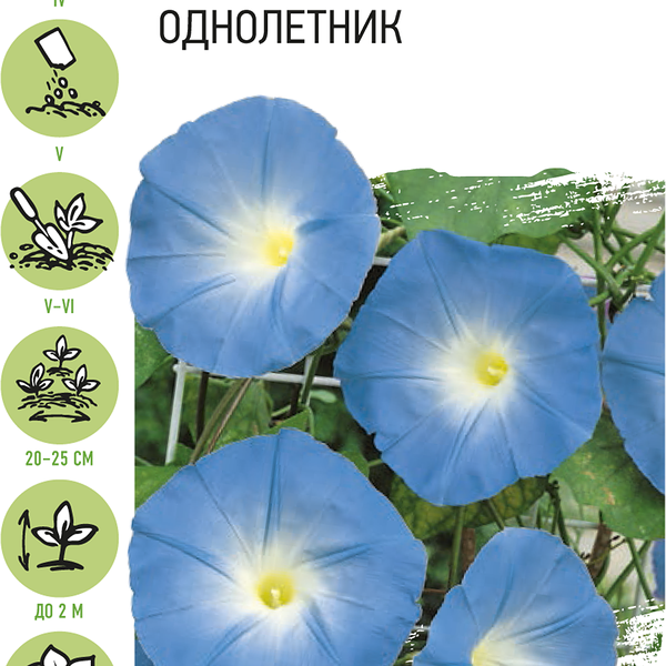Семена УДАЧНЫЕ СЕМЕНА Ипомея Леди в голубом, 0,5г