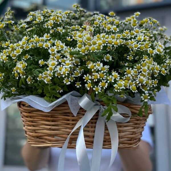Корзина ромашек