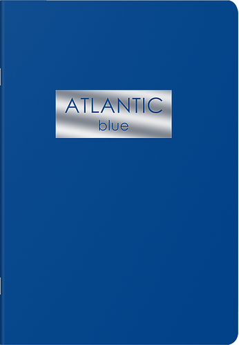 Блокнот LISTOFF А5, 48 листов, на скрепке, в клетку, в ассортименте