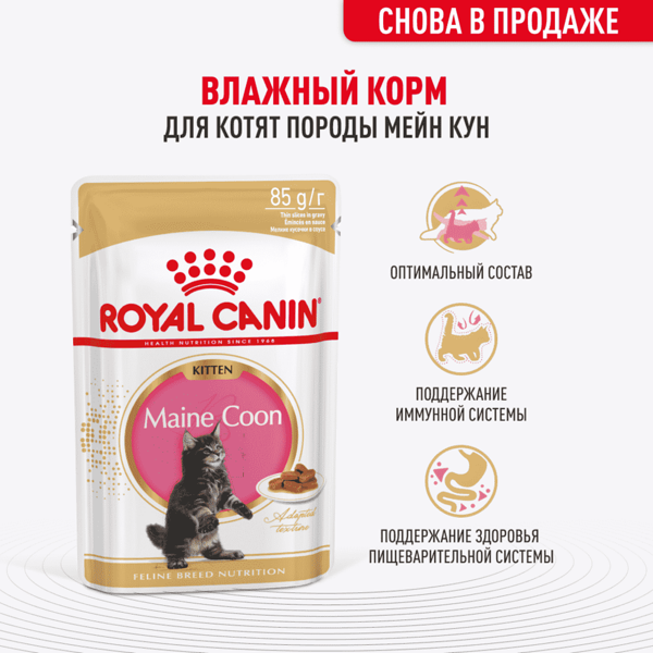 Корм для котят ROYAL CANIN Kitten Мейн Кун, в соусе пауч 85г упаковка - 28 шт
