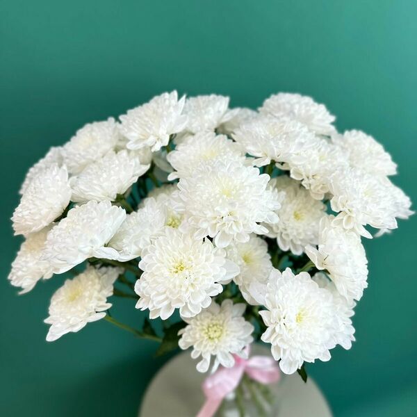 Летняя свежесть