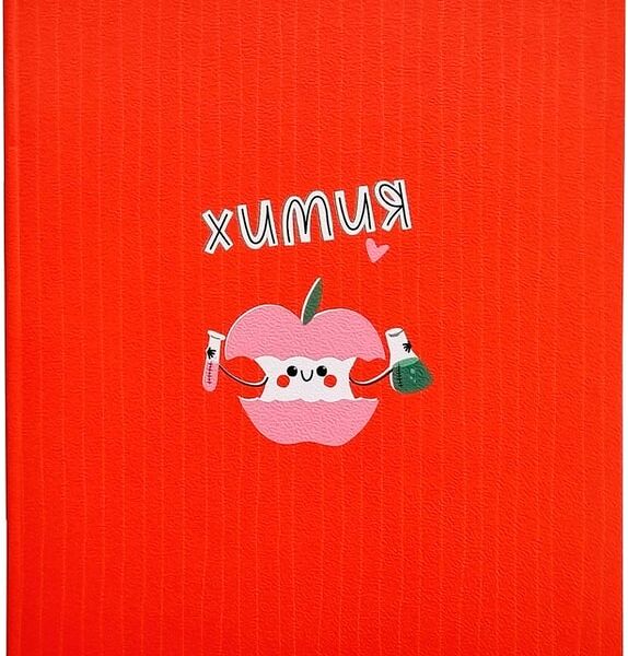 Тетрадь общая Be Different Juicy Химия 165*203мм клетка 48л
