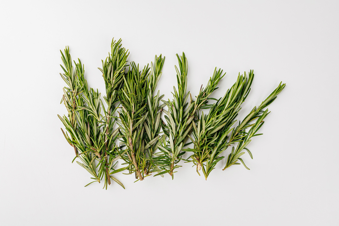 

Розмарин свежий фасованный, 30 г