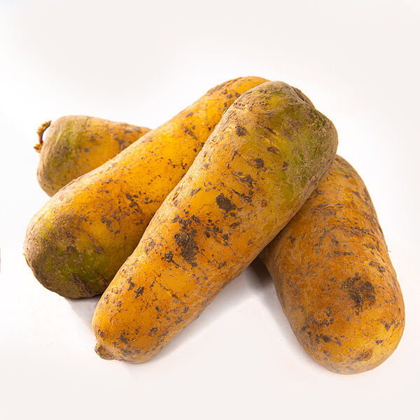 Морковь желтая