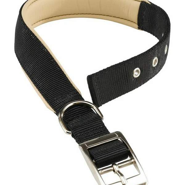 Ошейник для собак Ferplast Daytona C 40/69 черный