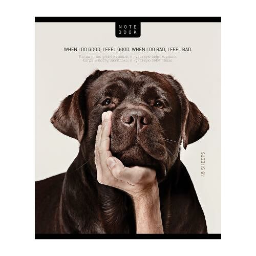 Тетрадь ПЗБМ Посмотри на меня, общая, А5, скрепка, клетка, 48 л, 1 шт., в ассортименте