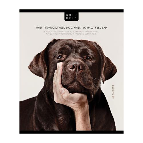 

Тетрадь ПЗБМ Посмотри на меня А5 на скрепке в клетку 48 листов 1 шт., дизайн в ассортименте