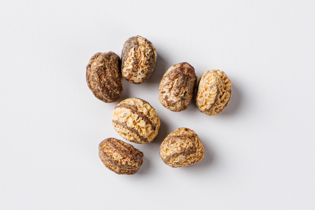 

Настурция низкорослая махагони ТМ Поиск агрохолдинг