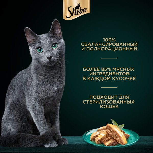 

Влажный корм для кошек Sheba паштет с курицей 75 г