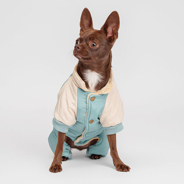 Комбинезон для собак, L, голубой (девочка)