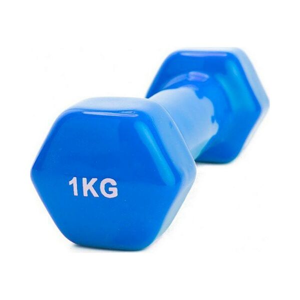 Гантель обрезиненная 1кг синяя арт SF 0160
