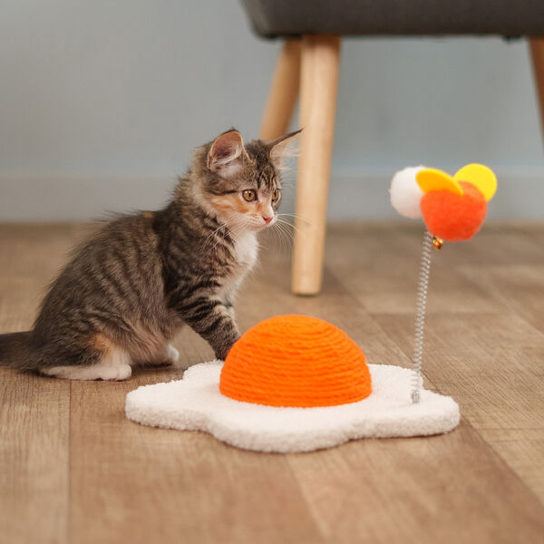 Когтеточка Rurri Цветок