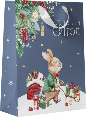 

Пакет Пакетико LV Рождественский 31.5 х 25.5 х 11 см 1 шт в ассортименте