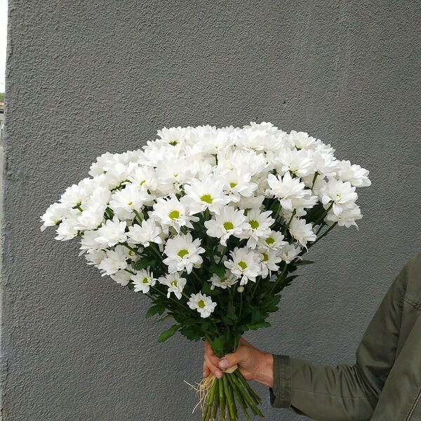 Букет из 9 хризантем