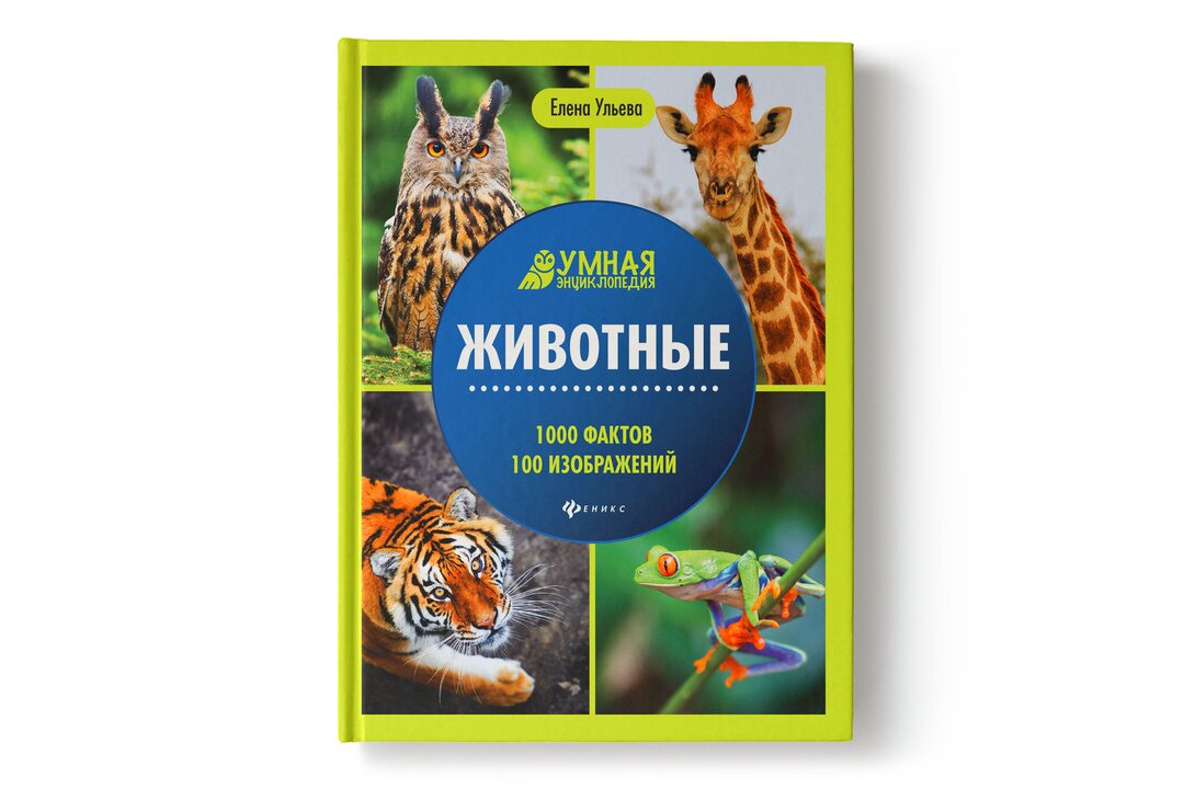 

Энциклопедия: Животные_РП