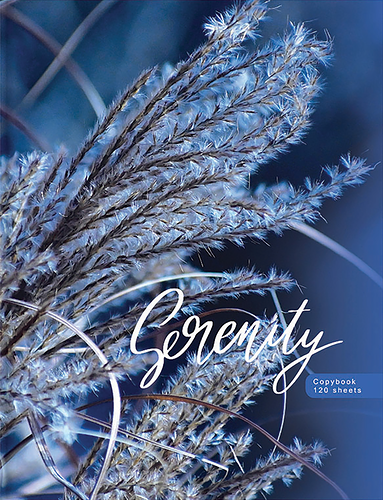 Тетрадь BG Blue serenity, А5, 120 листов, на кольцах