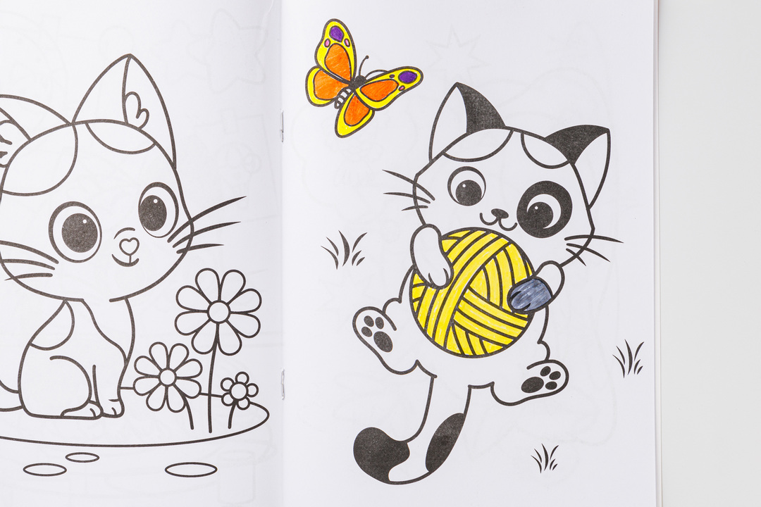 

Книжка Моя мяу раскраска