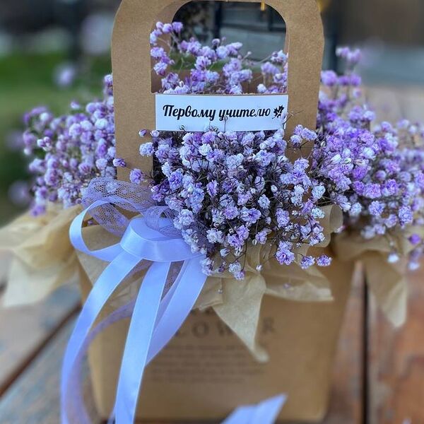 Сумочка с гипсофилой