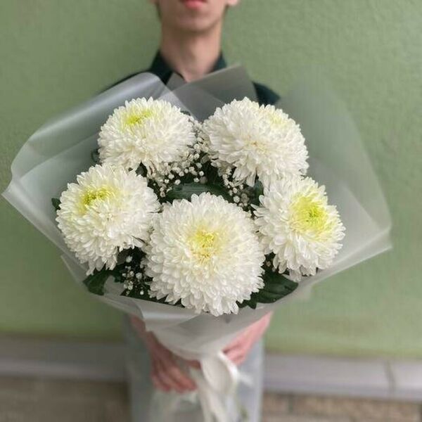 Облако из Хризантем