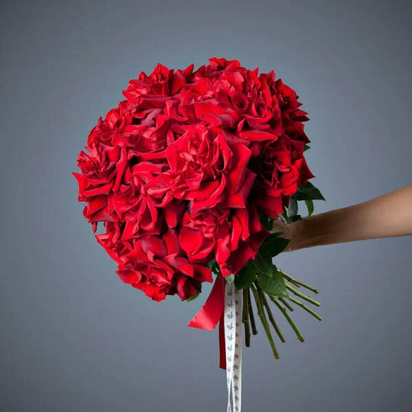 Монобукет 17 Роз Explorer Французский поцелуй