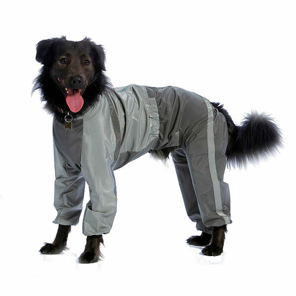 Комбинезон холодный для собак Самоедская лайка 5XL (девочка)