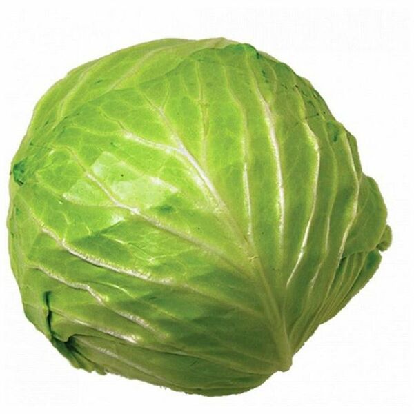 Капуста свежая