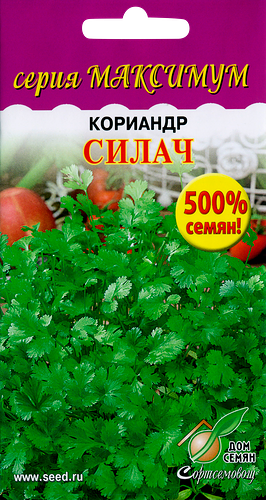 Семена ДОМ СЕМЯН Кориандр Силач, 6г