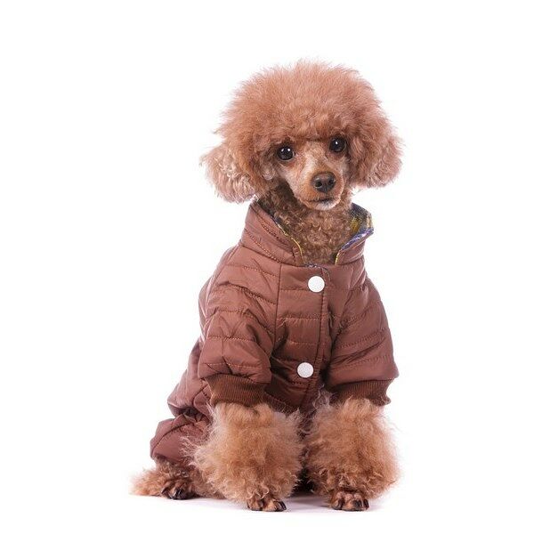 Комбинезон для собак M коричневый (девочка)