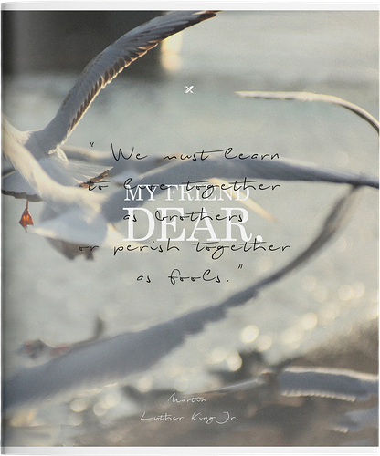 Тетрадь LOREX А5 48 листов в клетку на скрепке, в ассортименте, Арт. 
228309, LXCBCL-NFC/DD