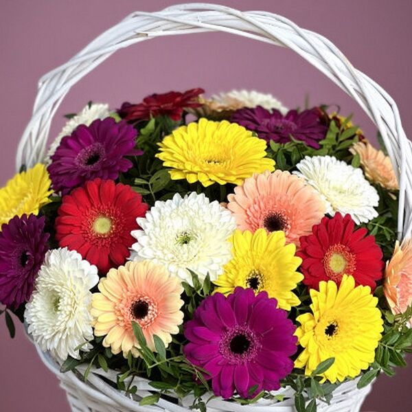 Корзина из 25 гербер мини