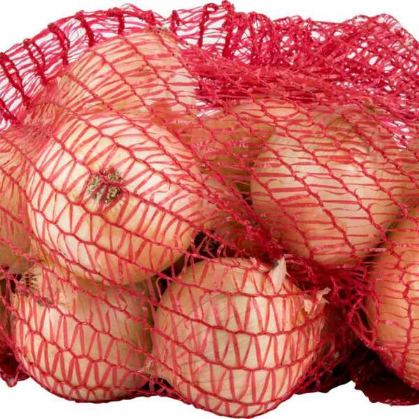 Лук репчатый