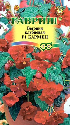 Семена ГАВРИШ Бегония ампельная Кармен F1, клубневая, гранулированные, Арт. 4602063, 5шт