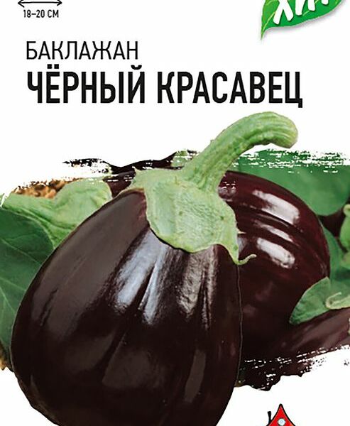 Баклажан Гавриш удачные семена черный красавец