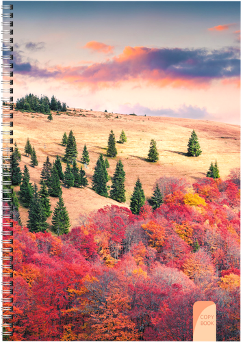 

Тетрадь UNNIKA LAND д/конспектов А4, 80л в ассортименте