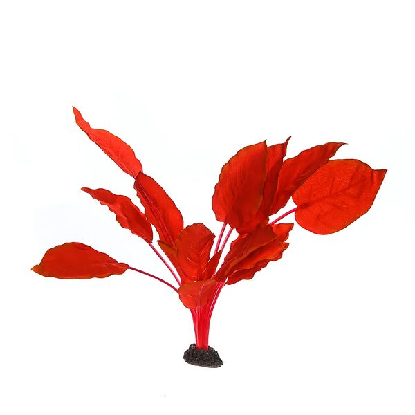 Декор для аквариума Анубиас Бартера, 30см