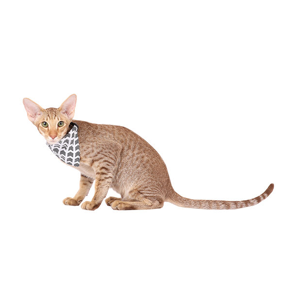 Ошейник с банданой Relax 10/32 треугольник белый