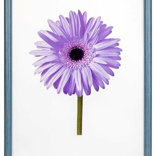 Фоторамка Minni голубая, 21x30 см