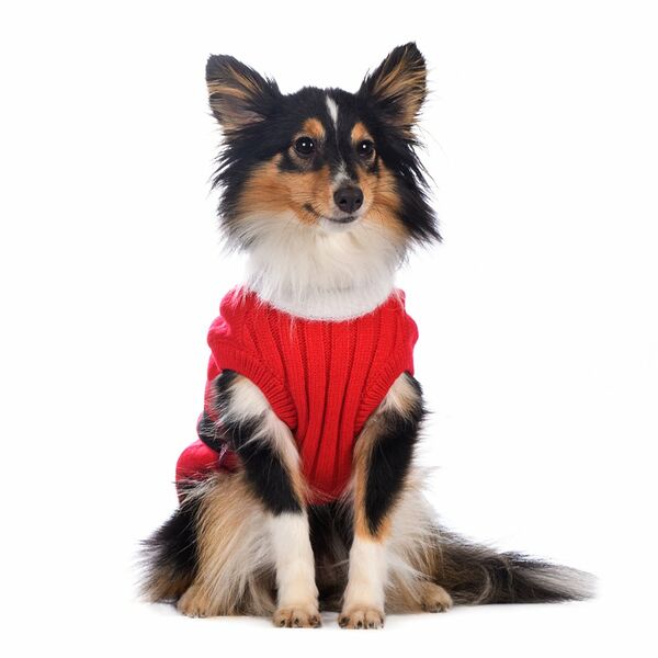 Свитер для собак Санта S красный (унисекс)