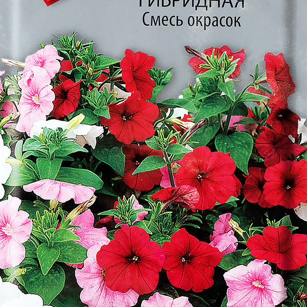 Семена ПОИСК Петуния гибридная Смесь окрасок