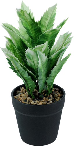 

Растение искусственное в пластиковом горшке Диффенбахия, цвета в ассортименте, Арт. LY21AP0130