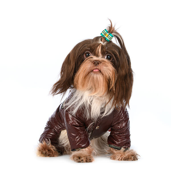 Комбинезон для собак AirForce S бордовый (унисекс)