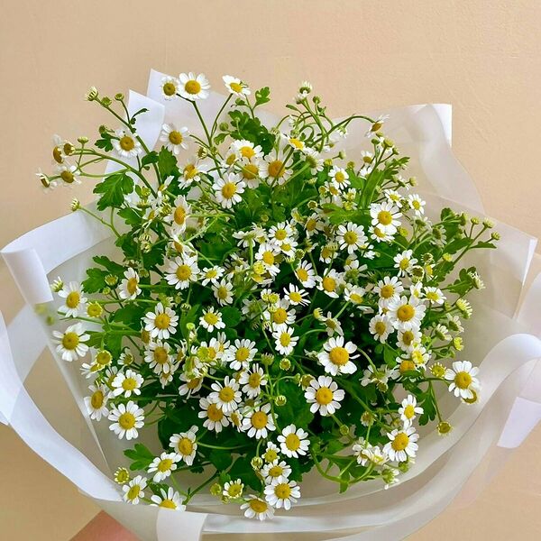 Букет ромашек «Летнее воспоминание»