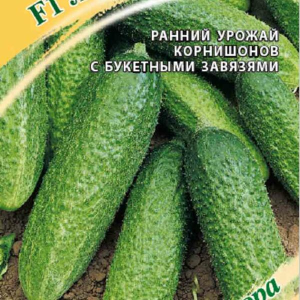 Огурец корнишон Луховицкий F1 Гавриш Семена от автора, 10 шт.