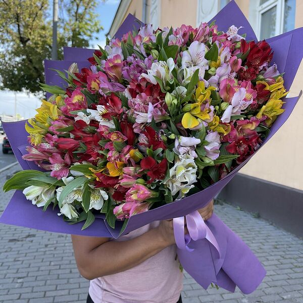 Альстромерия разноцветная