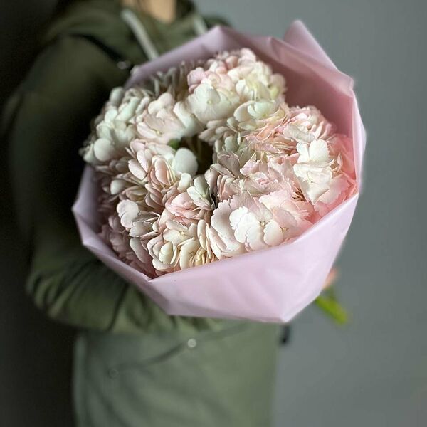 Букет из 5 розовых гортензий 
