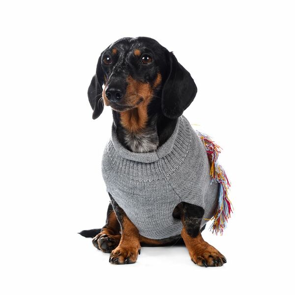 Свитер Rurri для собак S серый унисекс