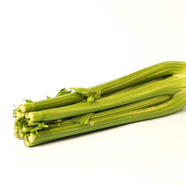 Сельдерей стебель