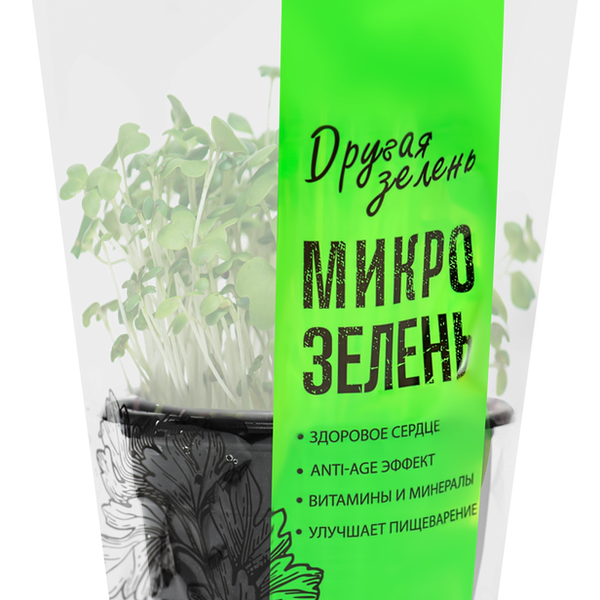 Микрозелень в горшочке Другая зелень Горчица