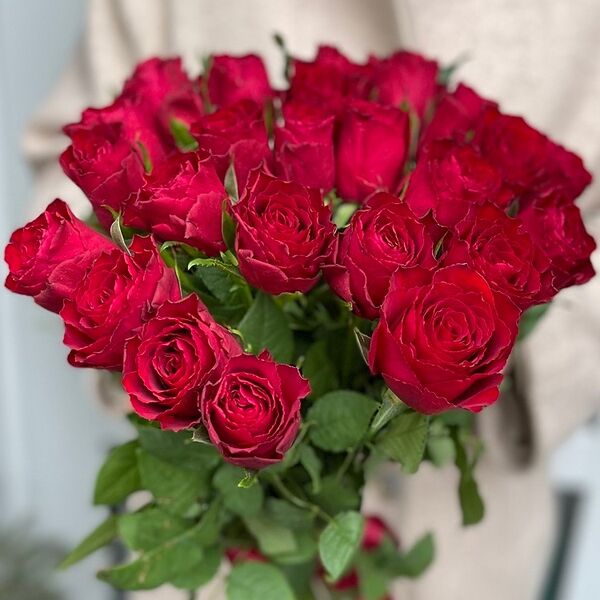 25 кенийских роз Камала (50 см)